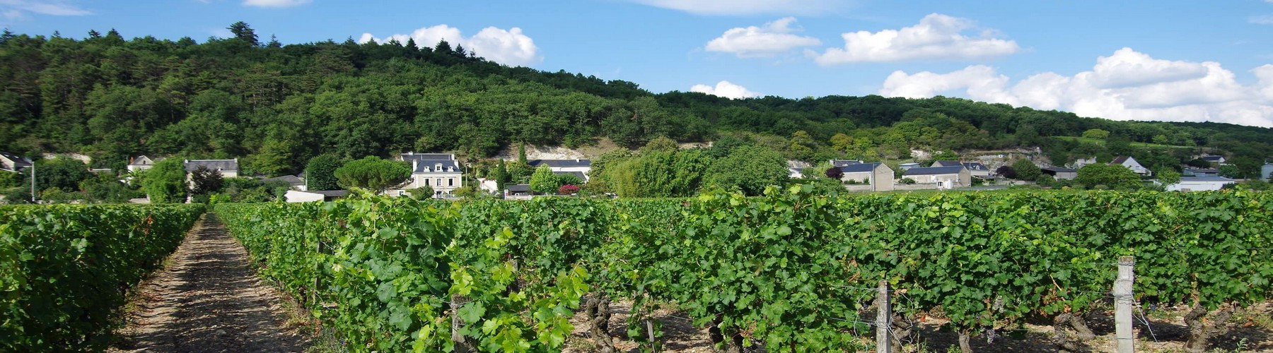 Domaine Bernard Baudry